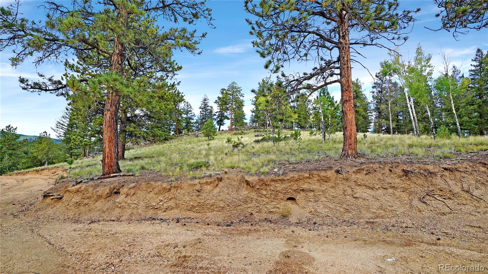 67 Hold Up Street Bailey, CO 80421 - Photo 21 of 43