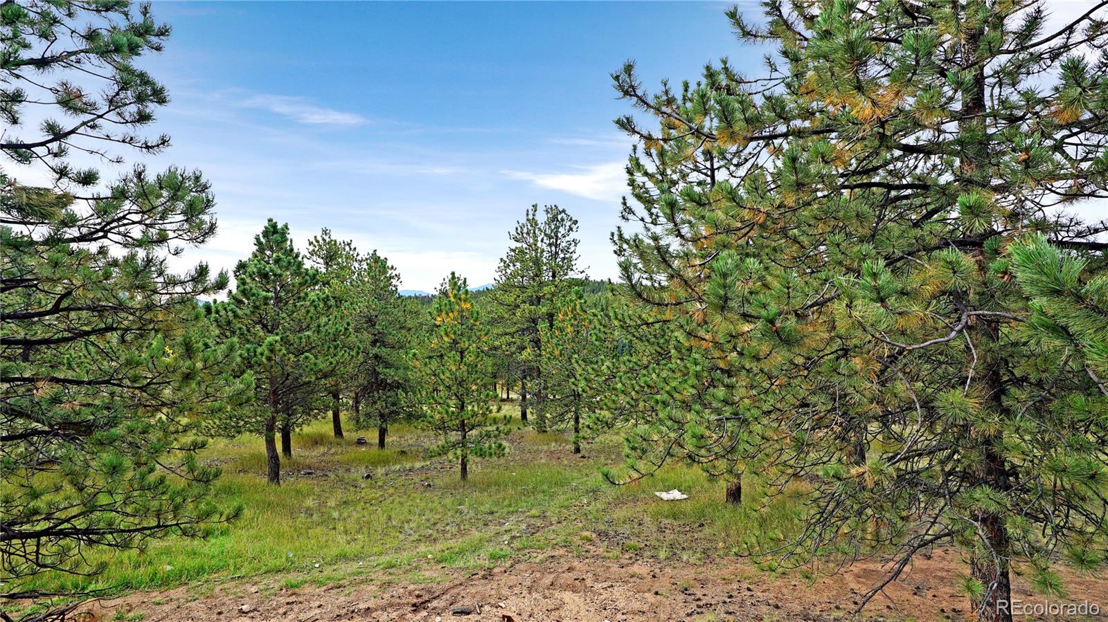 67 Hold Up Street Bailey, CO 80421 - Photo 27 of 43