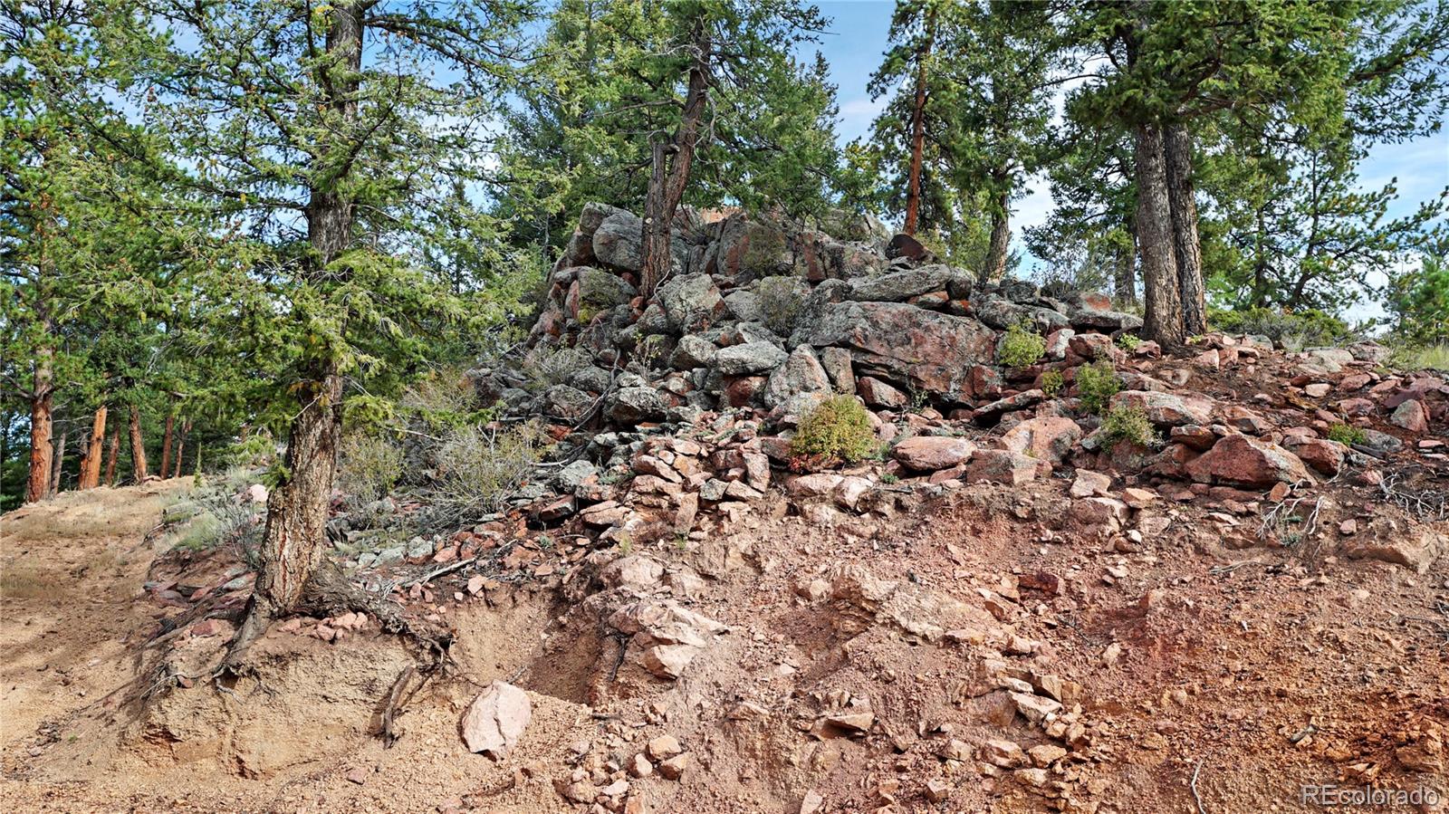 67 Hold Up Street Bailey, CO 80421 - Photo 28 of 43