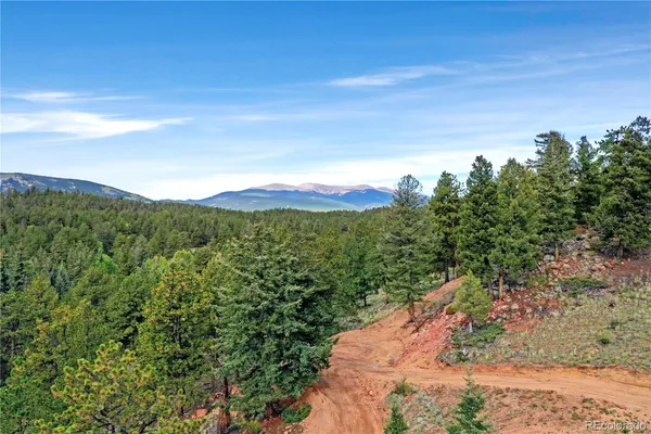 $650,000 | 67 Hold Up Street, Bailey, CO 80421