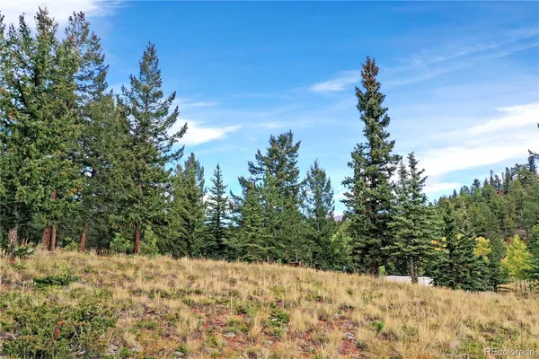 $650,000 | 67 Hold Up Street, Bailey, CO 80421