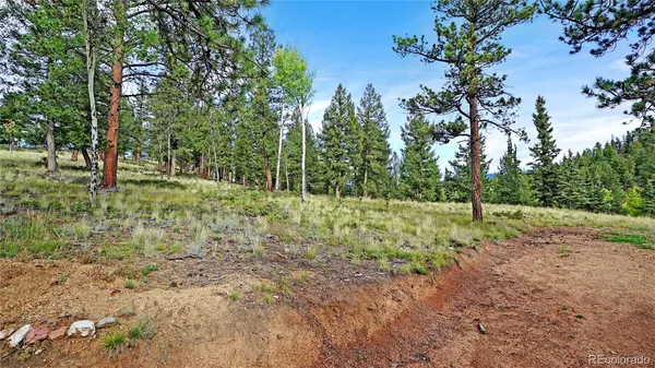 $650,000 | 67 Hold Up Street, Bailey, CO 80421