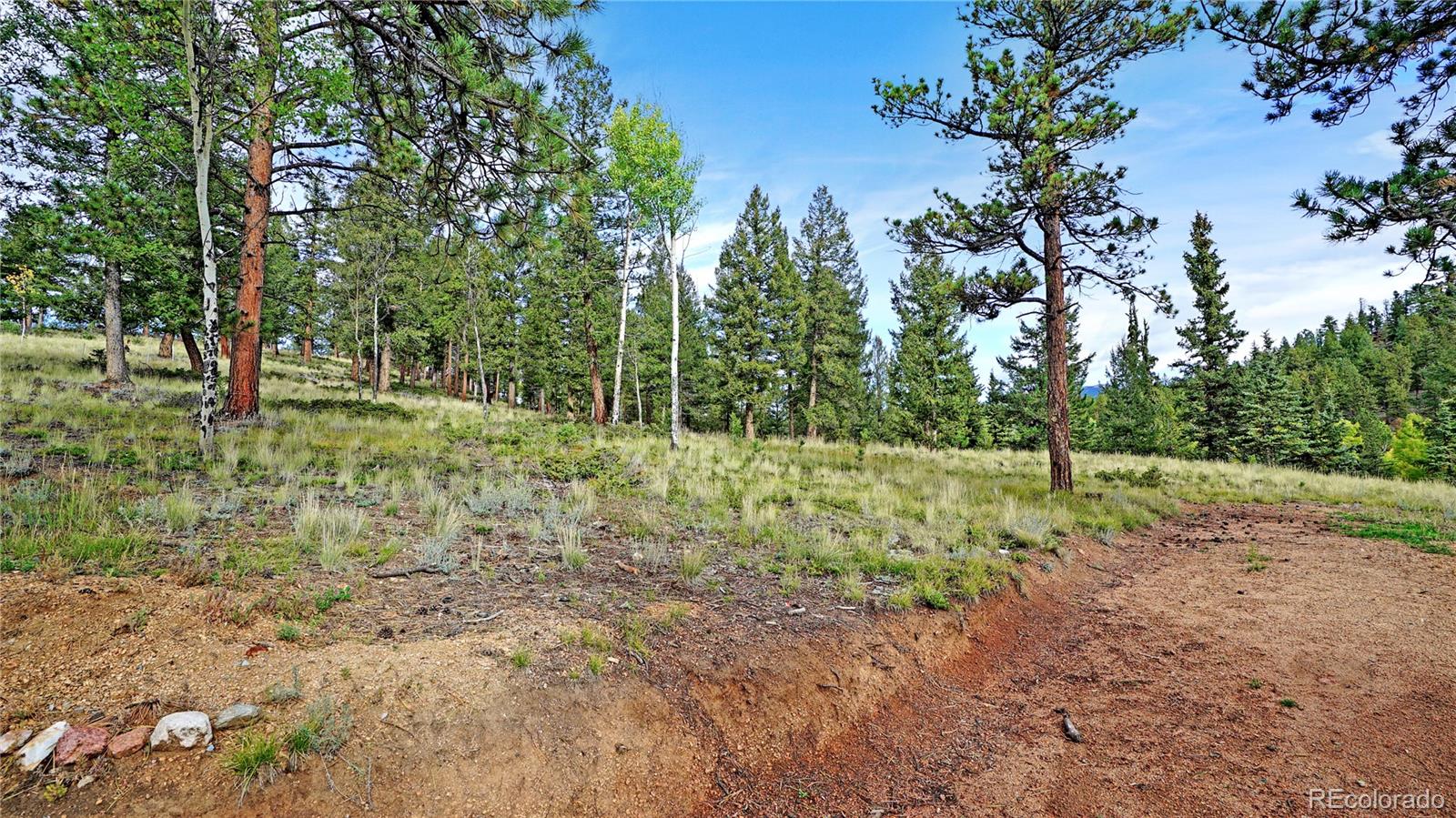 67 Hold Up Street Bailey, CO 80421 - Photo 35 of 43