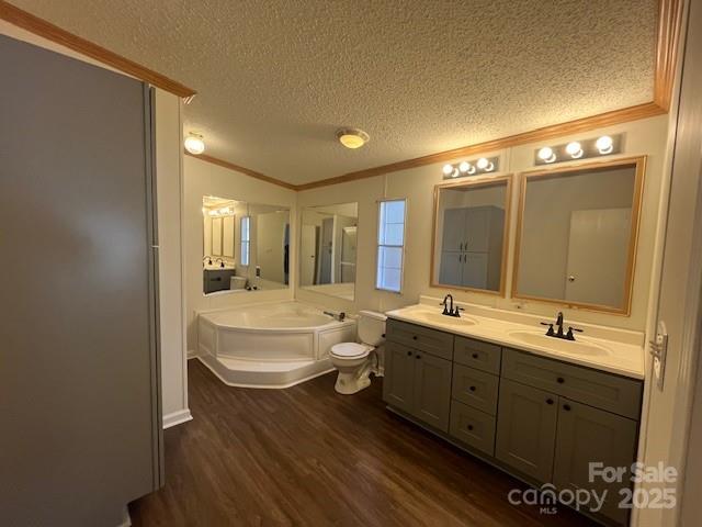 104 Freeze Meadows Road China Grove, NC 28023 - Photo 8 of 22 a bathroom with a double vanity sink and mirror with toilet