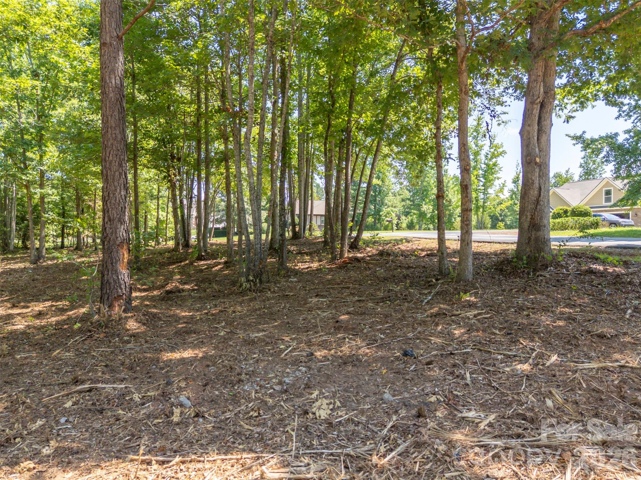 0 Doveridge Drive, Unit 66 Tryon, NC 28782 - Photo 15 of 21 a view of outdoor space with trees