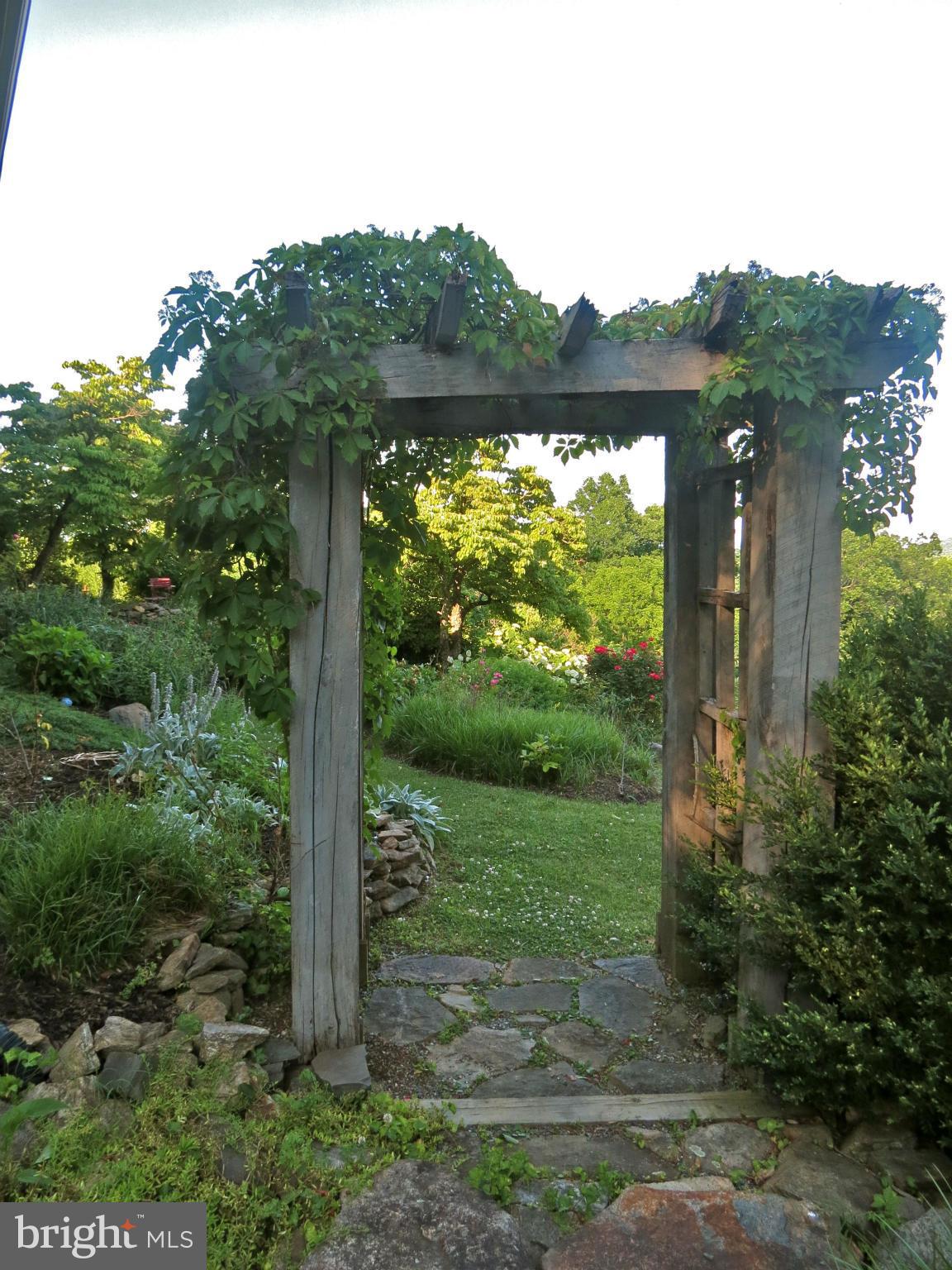 679 Fodderstack Road Flint Hill, VA 22640 - Photo 16 of 24 Garden detail