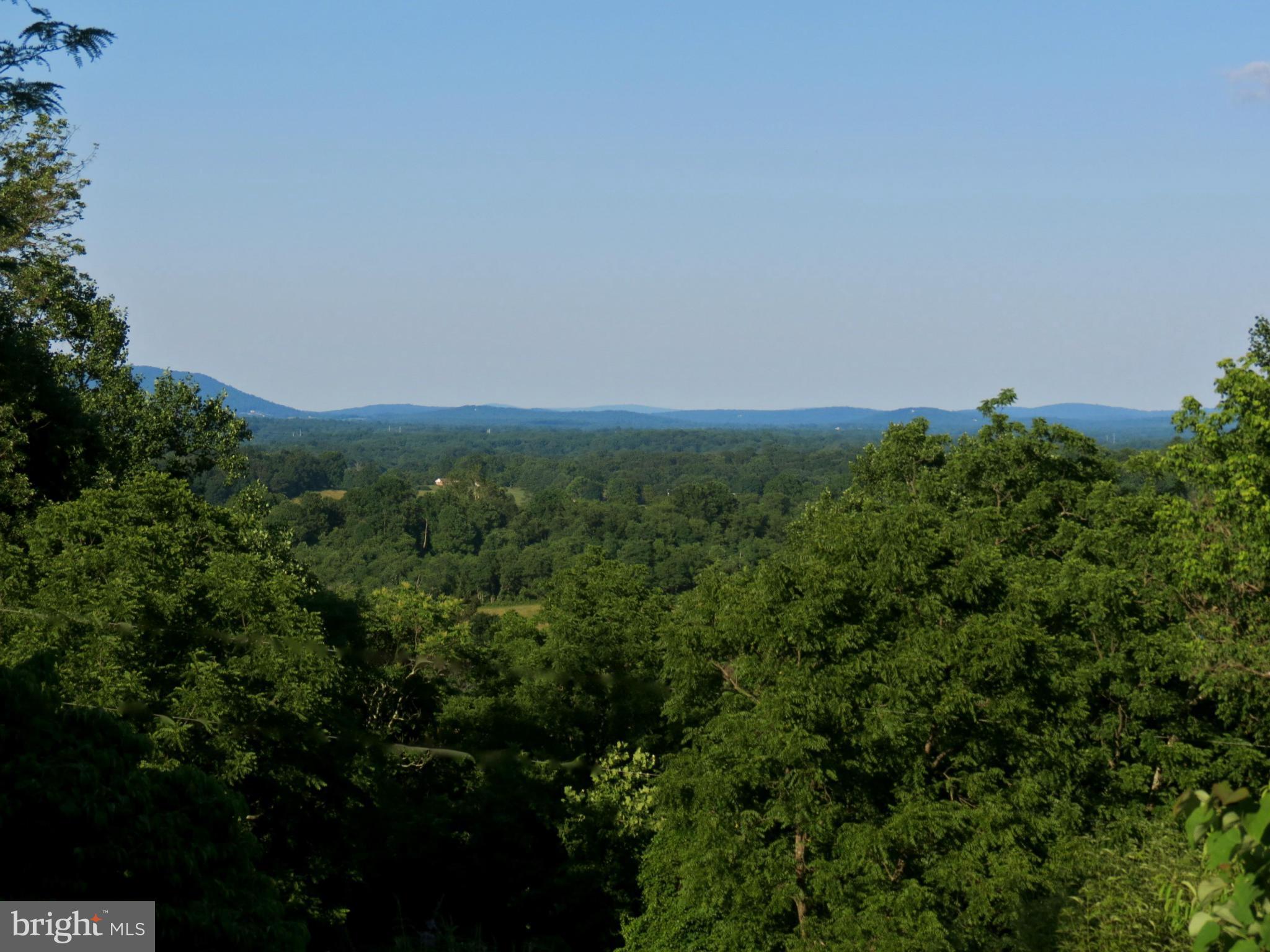 679 Fodderstack Road Flint Hill, VA 22640 - Photo 23 of 24 View to the North