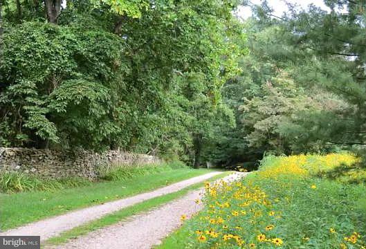 679 Fodderstack Road Flint Hill, VA 22640 - Photo 24 of 24 Driveway passes stone wall and wild flowers