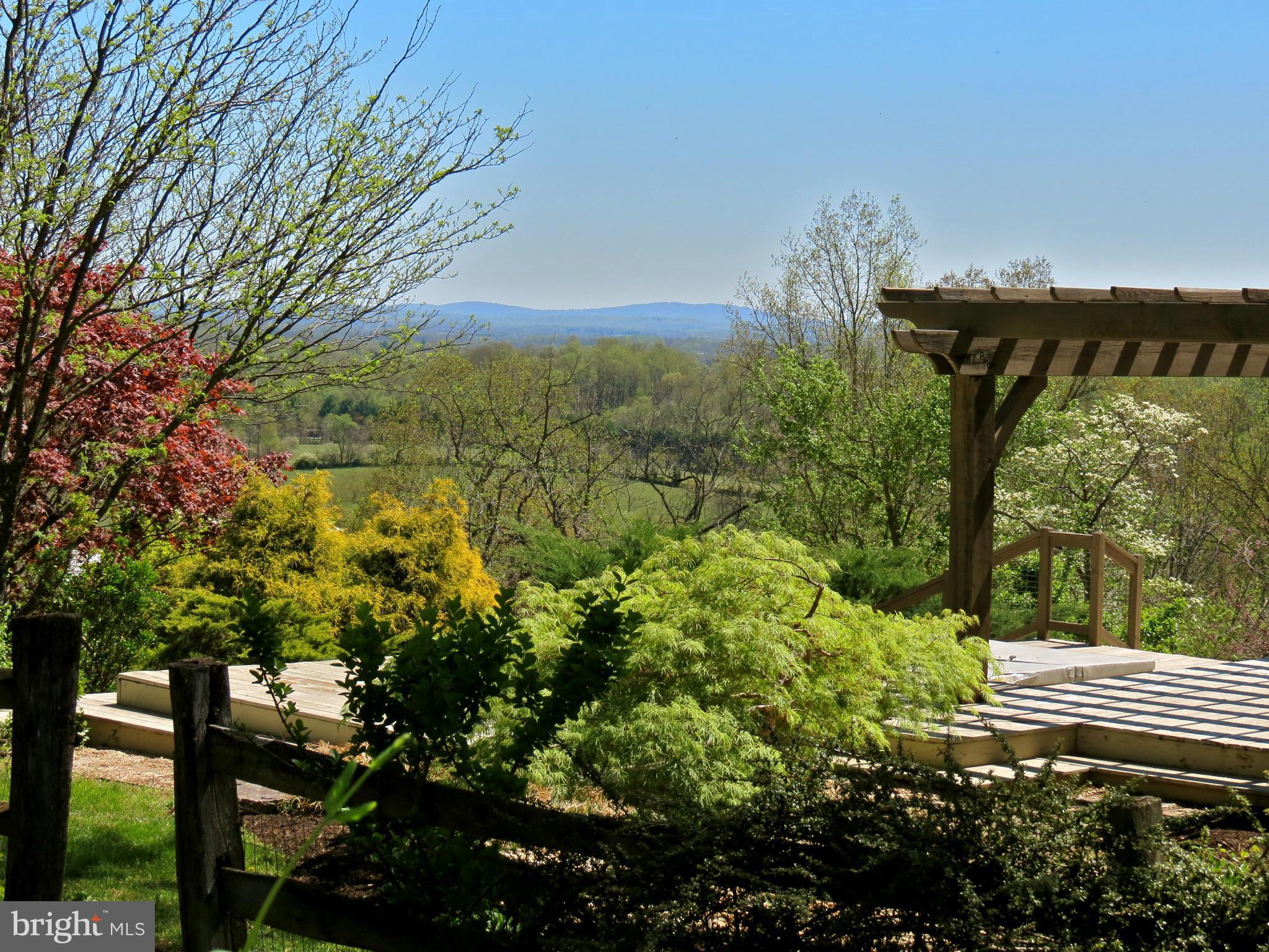 679 Fodderstack Road Flint Hill, VA 22640 - Photo 4 of 24 View from the side deck to the North