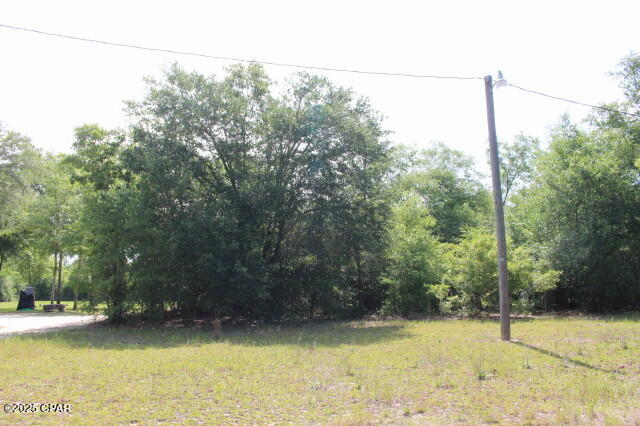 5929 Nichols Road Bascom, FL 32423 - Photo 11 of 47