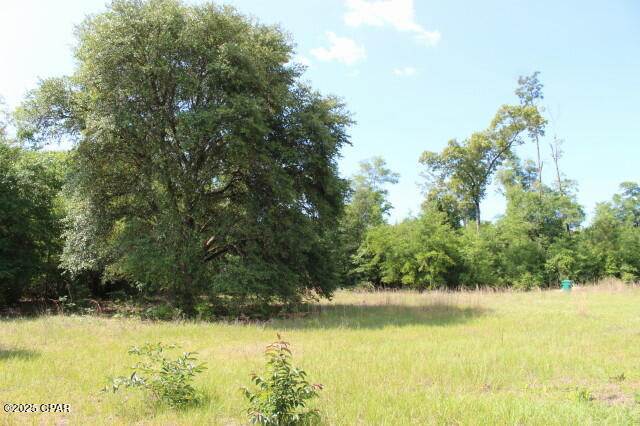 5929 Nichols Road Bascom, FL 32423 - Photo 15 of 47