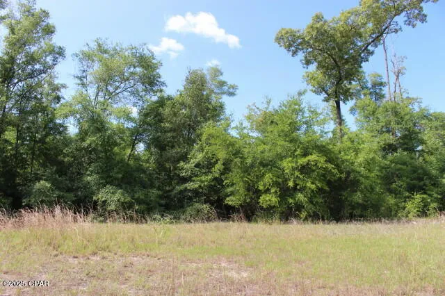 $154,900 | 5929 Nichols Road, Bascom, FL 32423