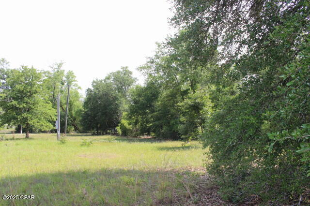 5929 Nichols Road Bascom, FL 32423 - Photo 7 of 47