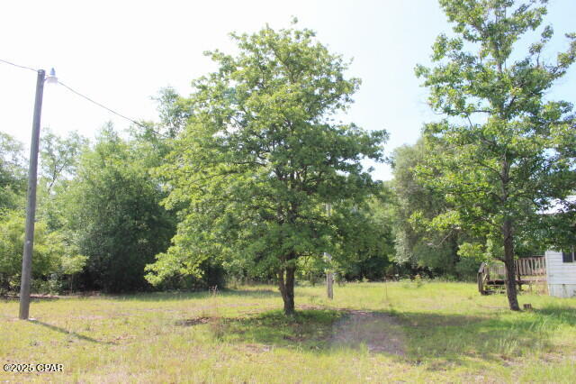 5929 Nichols Road Bascom, FL 32423 - Photo 10 of 47