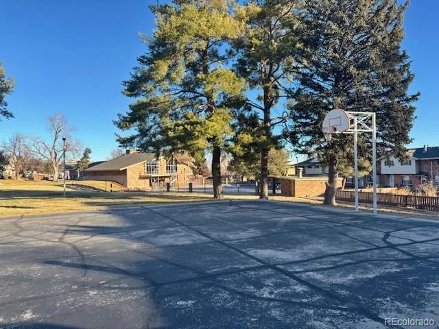 a view of dirt field with large trees