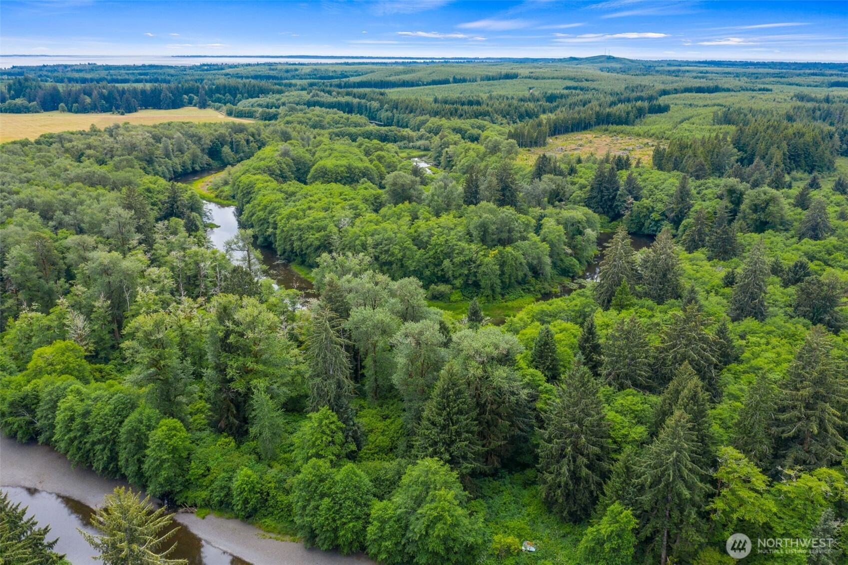 0 Ocean Beach Road Hoquiam, WA 98550 - Photo 12 of 16 a view of a green field with lots of bushes