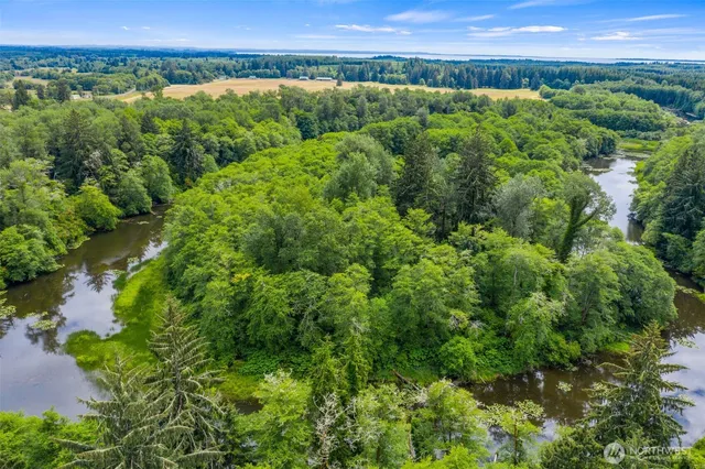 an aerial view of a lush green forest with houses