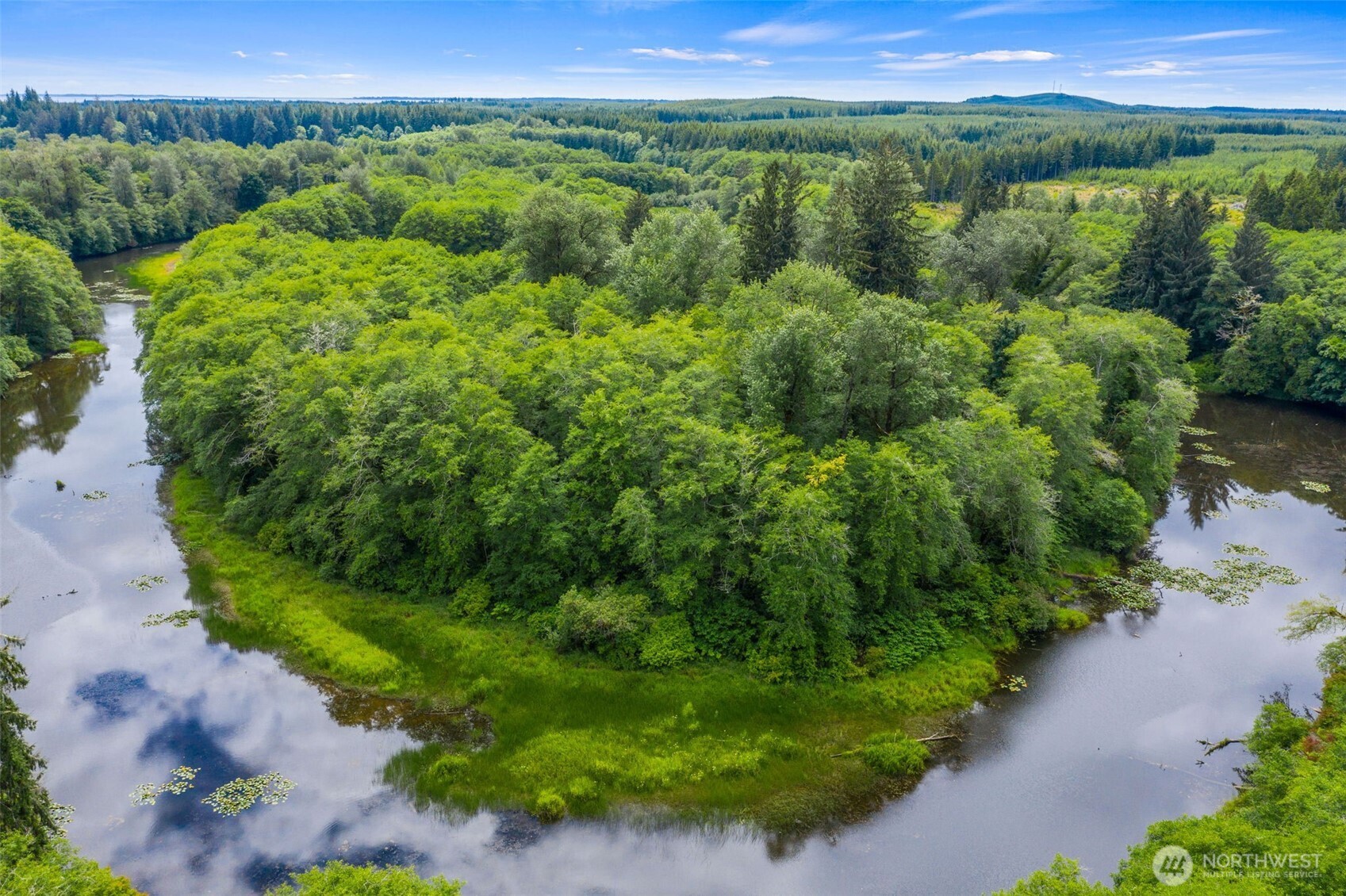 0 Ocean Beach Road Hoquiam, WA 98550 - Photo 2 of 16 a view of a lush green forest with lots of trees