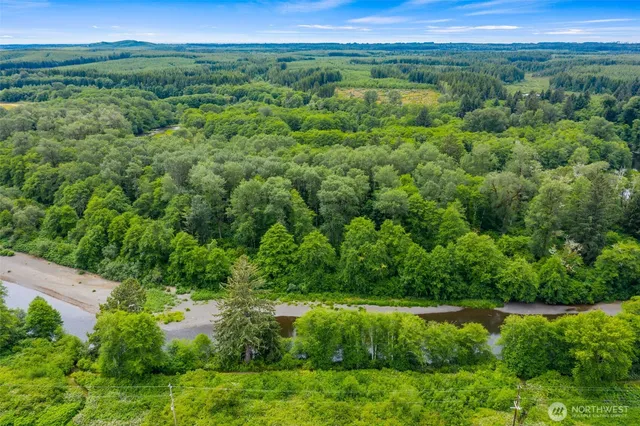 a view of a green field with lots of plants