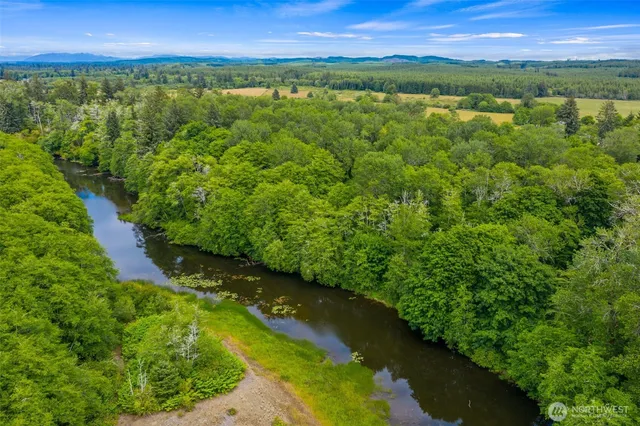 a view of a lush green forest with a lake