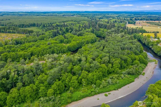 a view of city with lush green forest