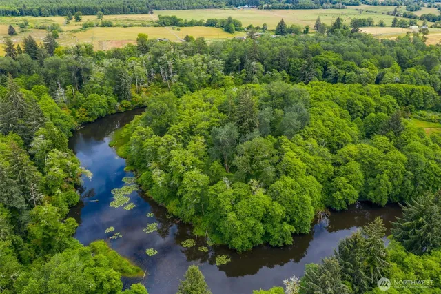 an aerial view of residential house with outdoor space and trees all around