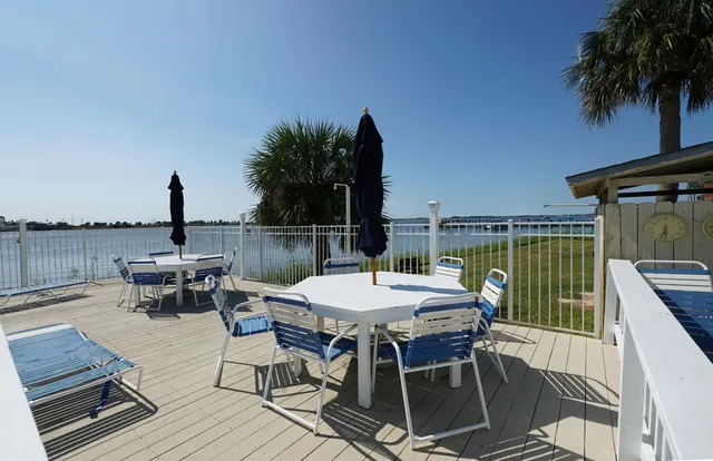a view of a terrace with furniture and a potted plant