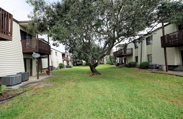 a view of a house with a tree in the yard