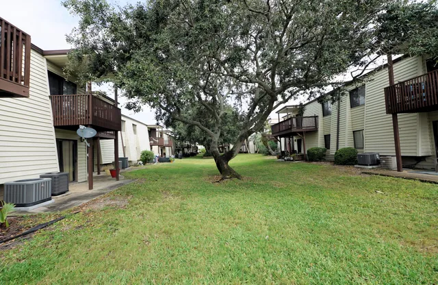 a view of a house with a tree in the yard