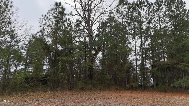 $550,000 | 2660-2714 Highway 98, Louisburg, NC 27549