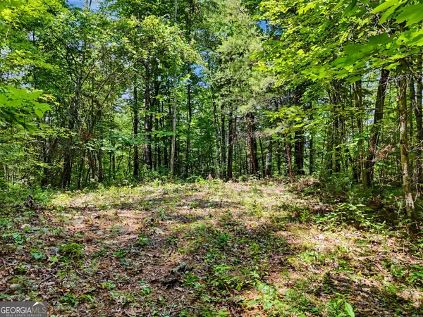 $110,000 | 0 Hidden Falls Drive, Unit LOT 3, Tiger, GA 30576