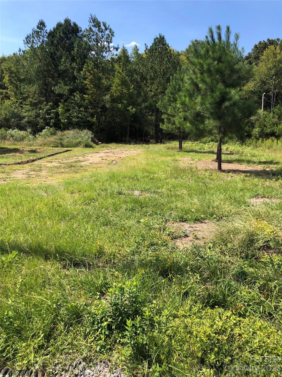 452 Porter Road Rock Hill, SC 29730 - Photo 3 of 4 a view of outdoor space with trees all around