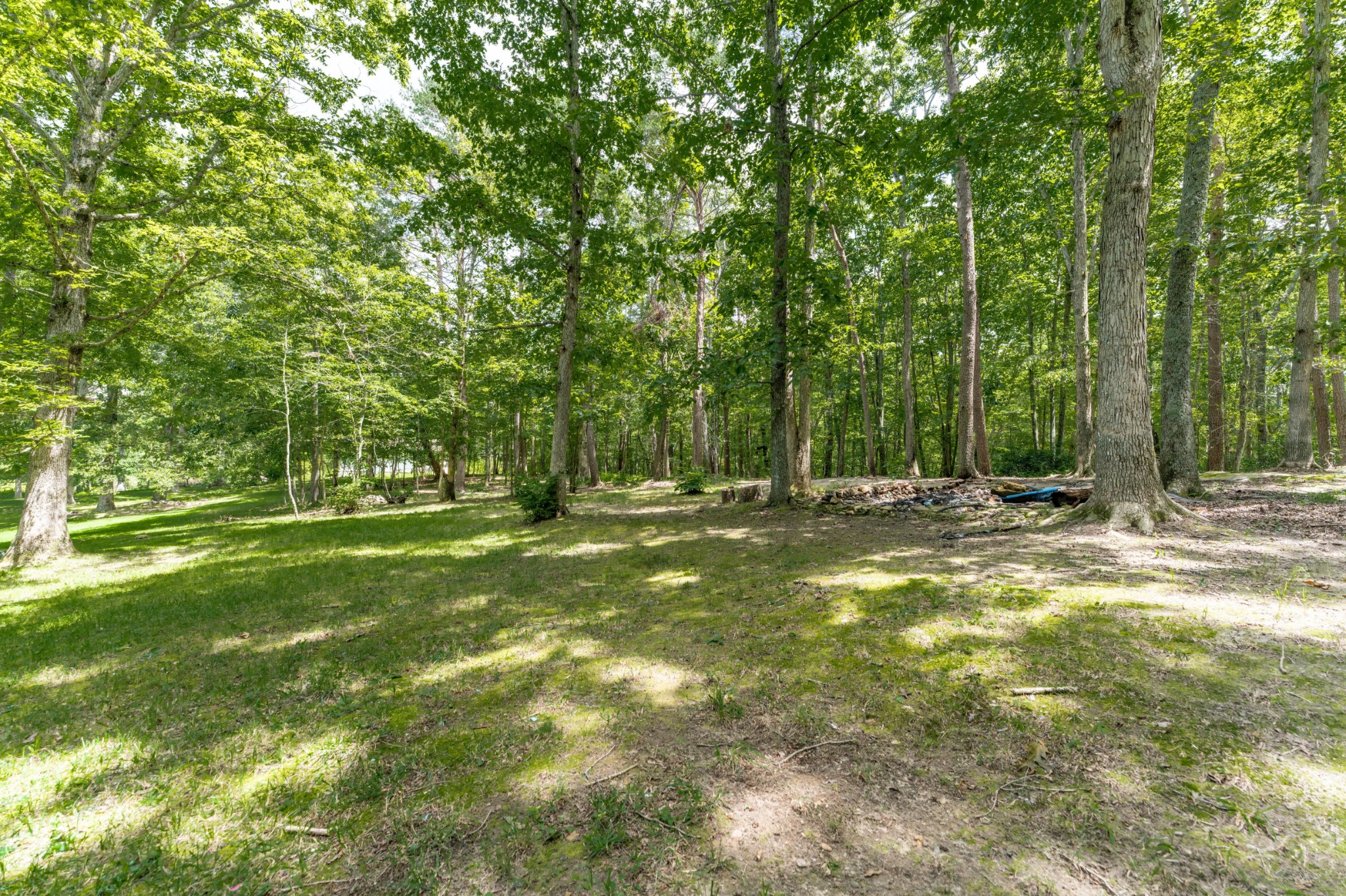 316 Kerrigan Road Crossville, TN 38555 - Photo 17 of 19 a view of outdoor space with trees all around