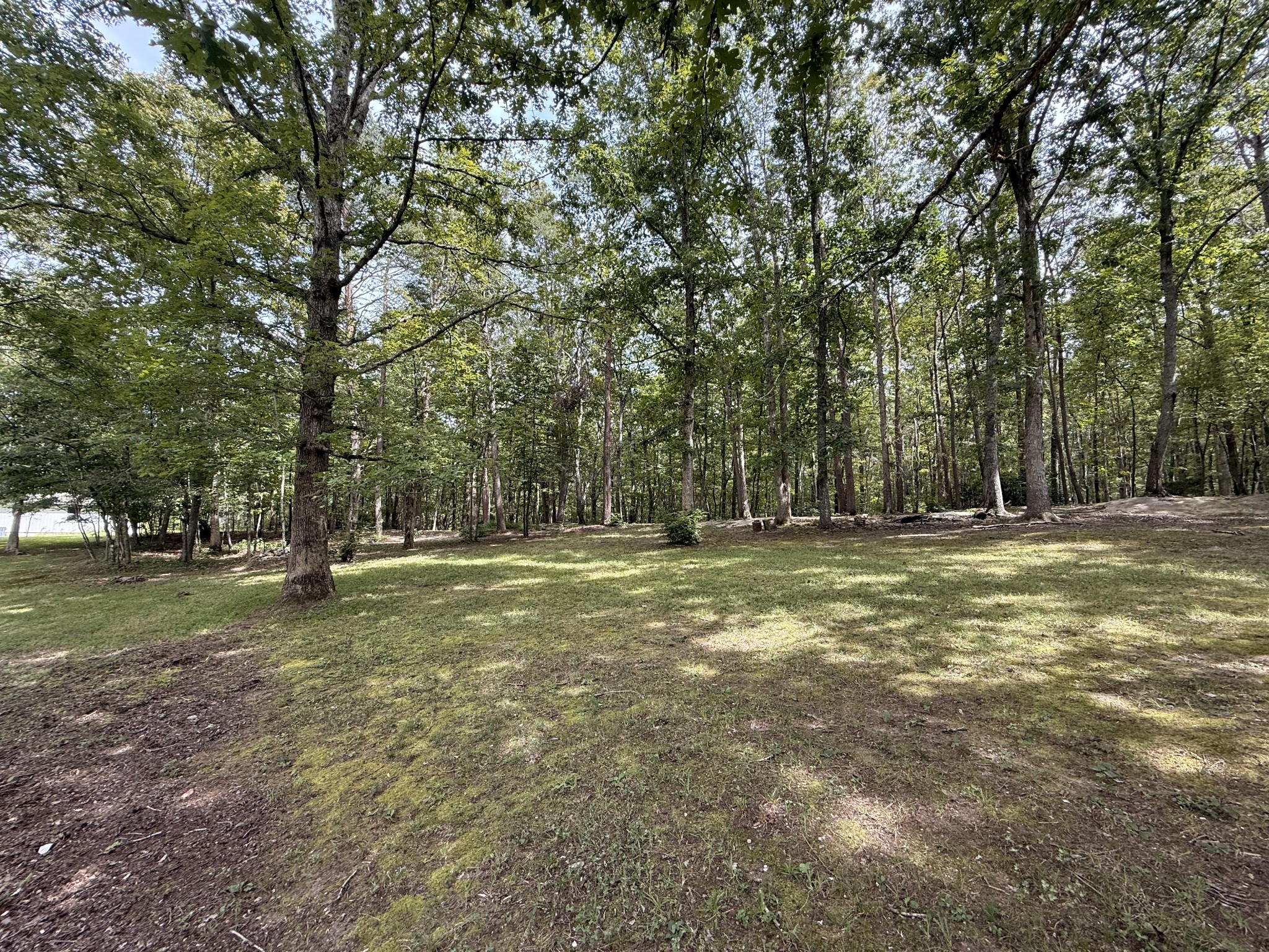 316 Kerrigan Road Crossville, TN 38555 - Photo 19 of 19 a view of a field with trees