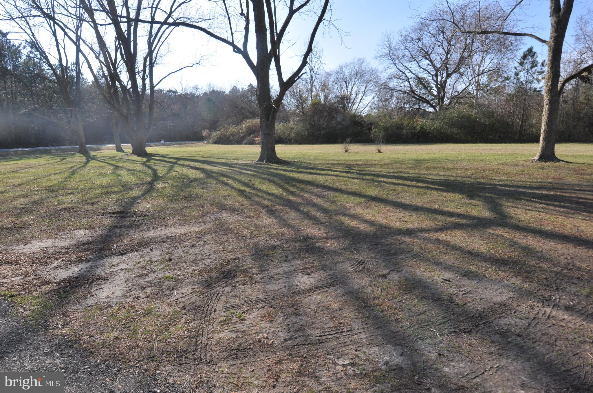 1529 Unionville Road Pocomoke City, MD 21851 - Photo 12 of 33 a view of outdoor space with trees