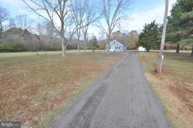 a view of city street with large trees