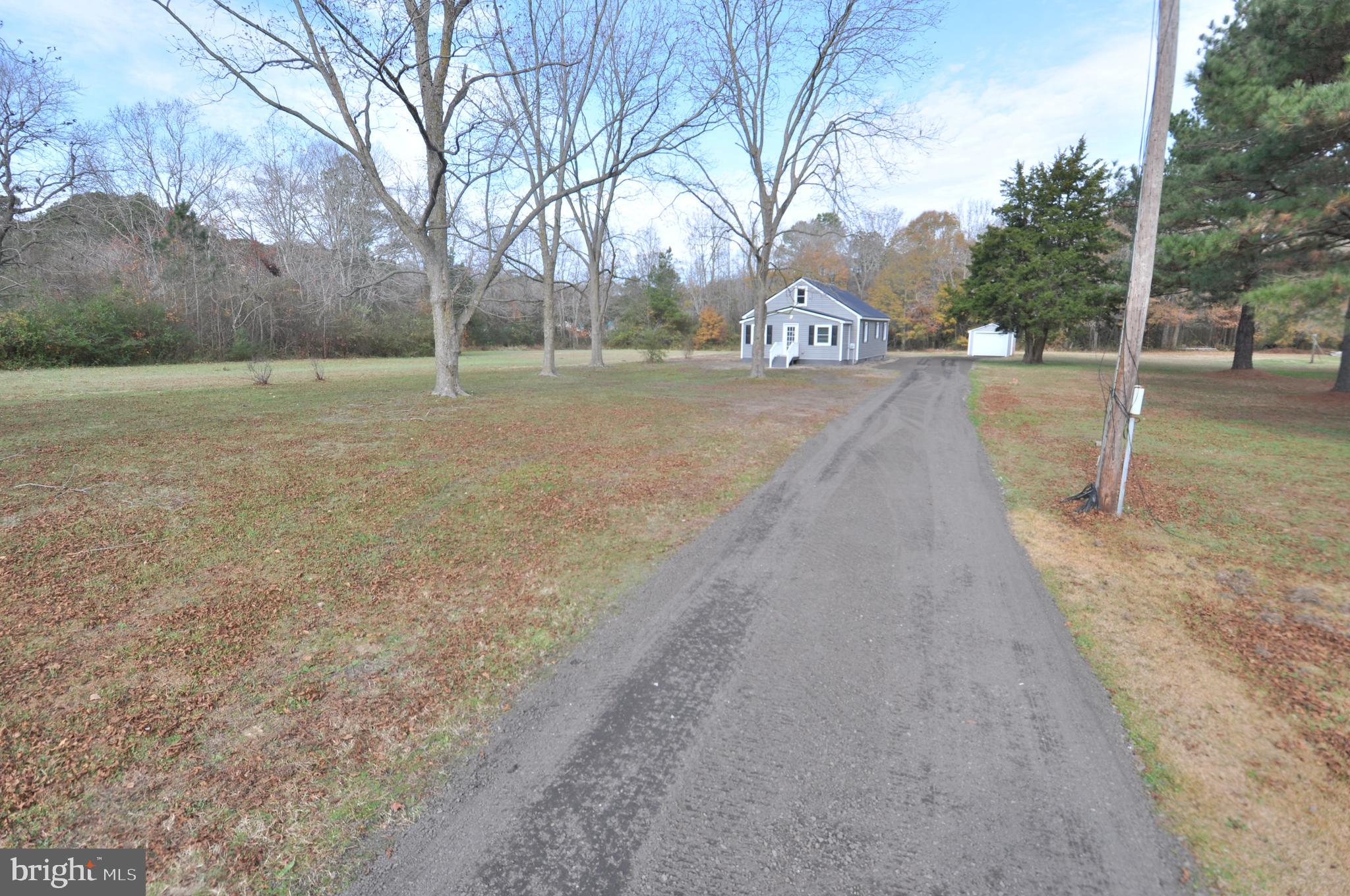 1529 Unionville Road Pocomoke City, MD 21851 - Photo 13 of 33 a view of city street with large trees