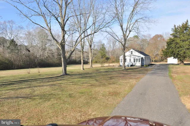 a view of white house with a large tree