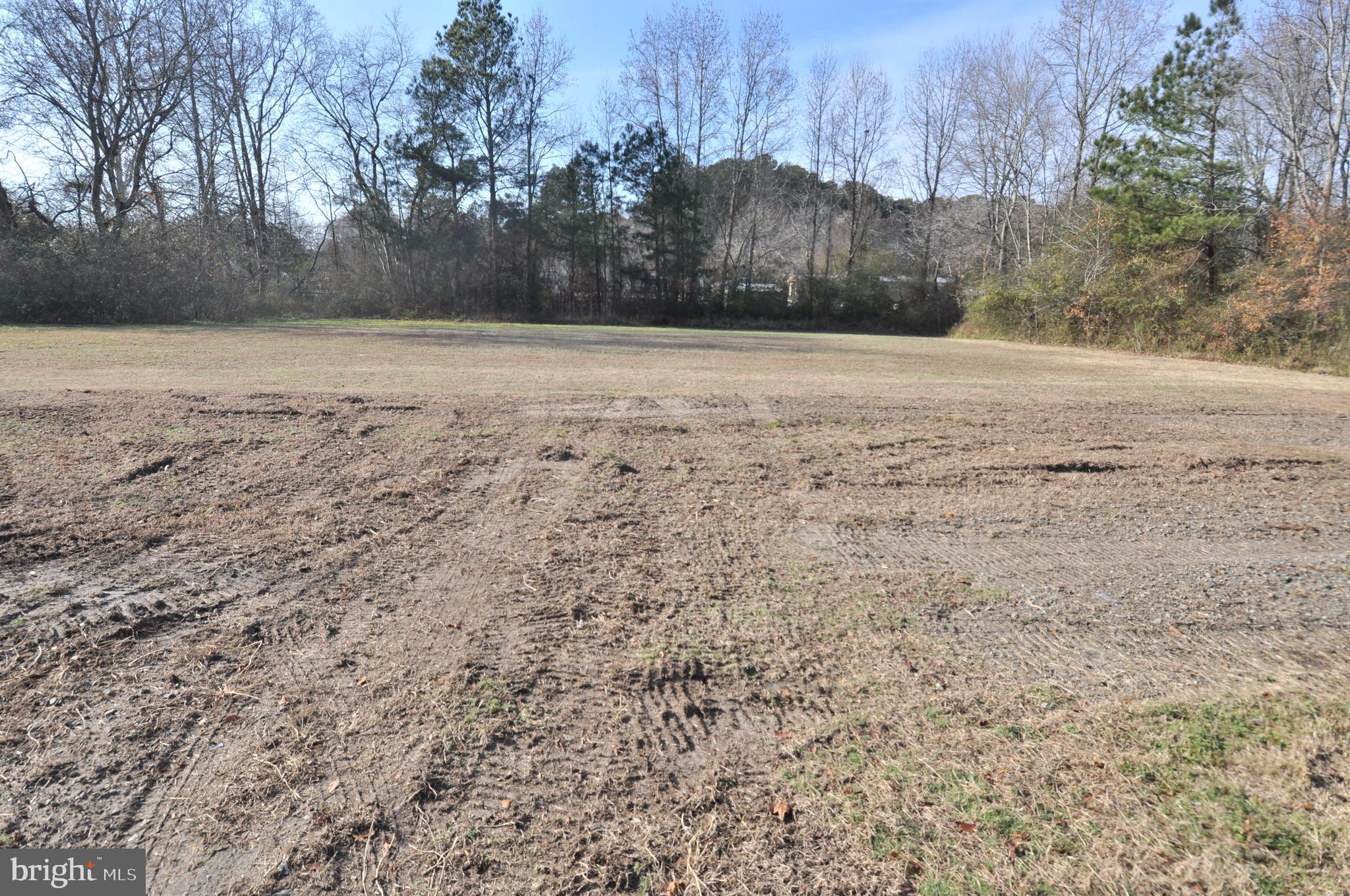 1529 Unionville Road Pocomoke City, MD 21851 - Photo 10 of 33 a view of outside space area and trees