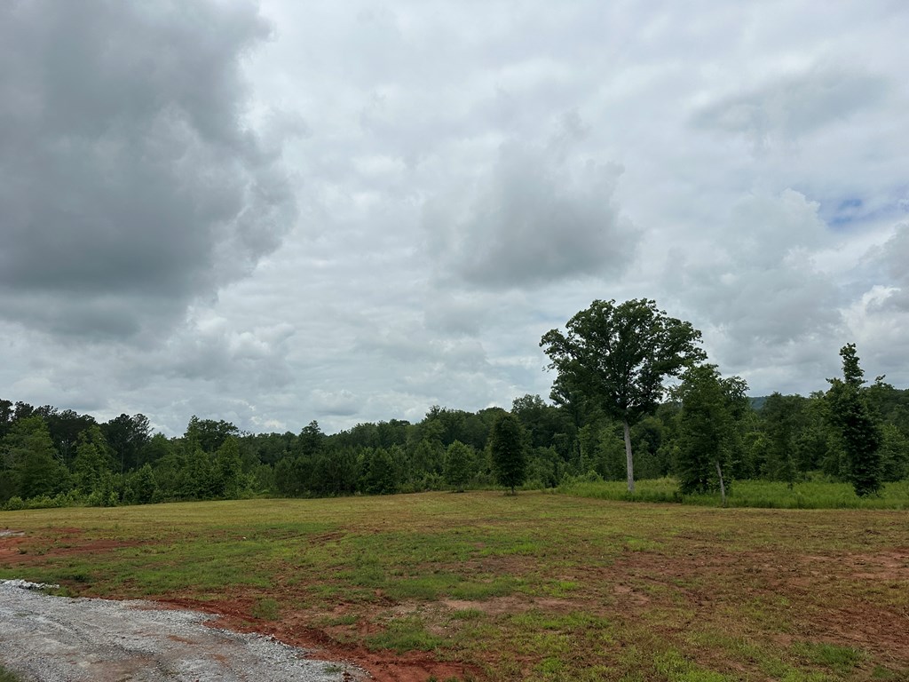 0 Macedonia Church Road Hamilton, GA 31811 - Photo 17 of 44 Gallery Image 17