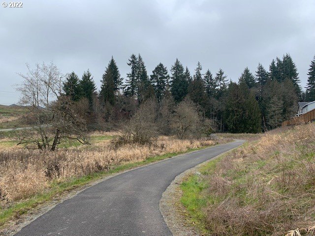 2426 South Brookside Place Ridgefield, WA 98642 - Photo 29 of 31 a view of a yard with large trees