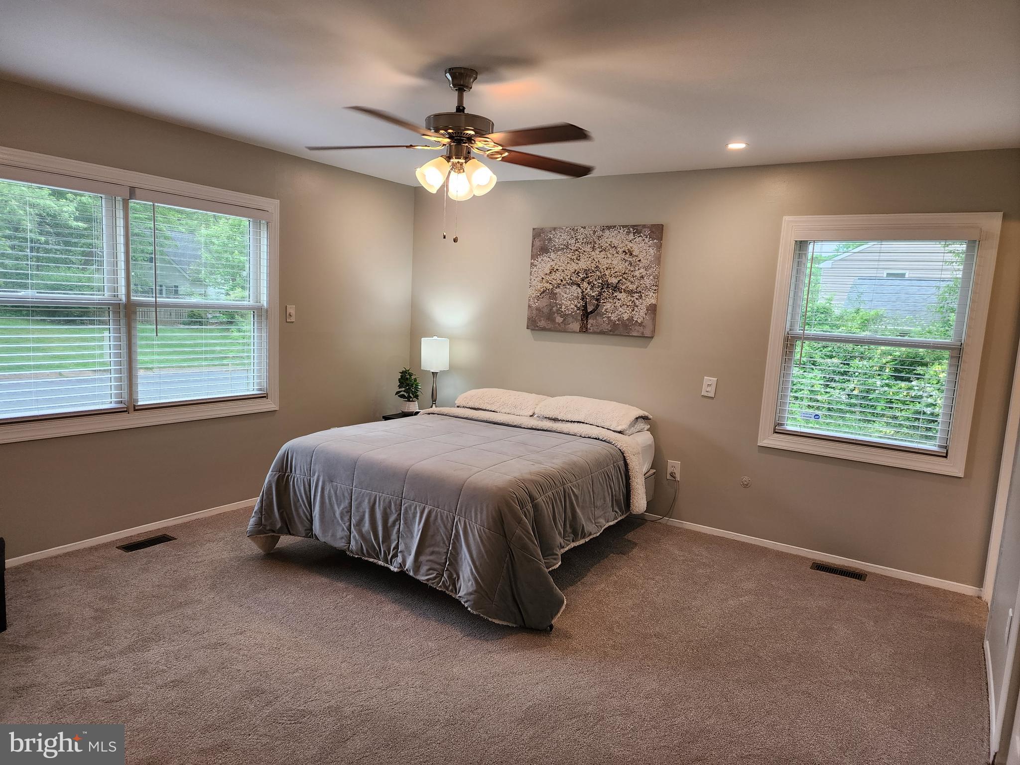 12501 Ivory Pass Laurel, MD 20708 - Photo 23 of 43 Large windows