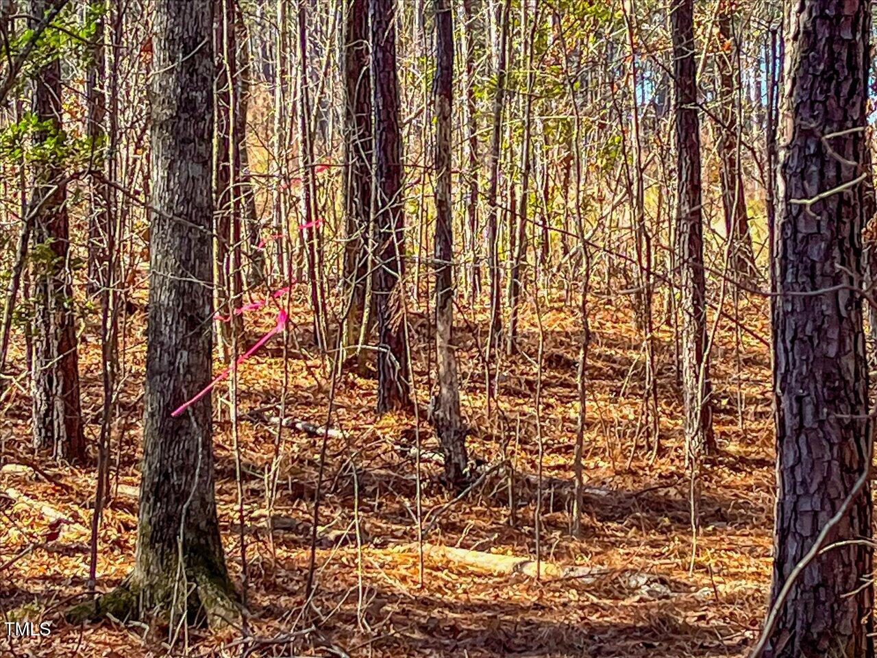 3 Robedo Rd Mount Mount Gilead, NC 27306 - Photo 18 of 24 23-023-Tract3-RobedoRd-MontgomeryCounty-
