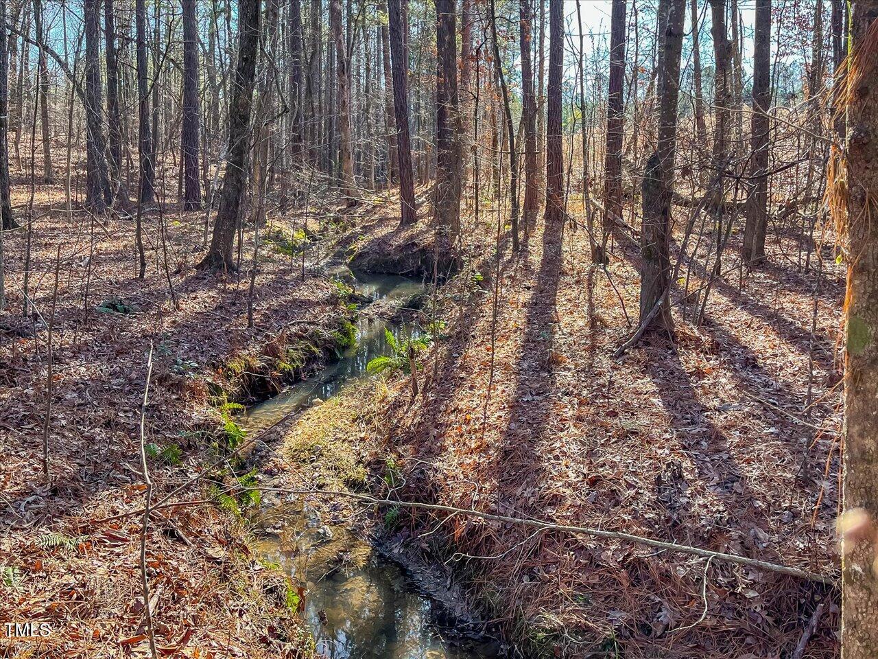 3 Robedo Rd Mount Mount Gilead, NC 27306 - Photo 21 of 24 27-027-Tract3-RobedoRd-MontgomeryCounty-