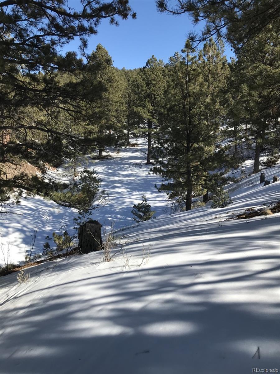 1093 Piute Road Westcliffe, CO 81252 - Photo 13 of 15