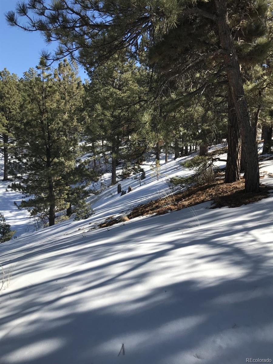 1093 Piute Road Westcliffe, CO 81252 - Photo 14 of 15