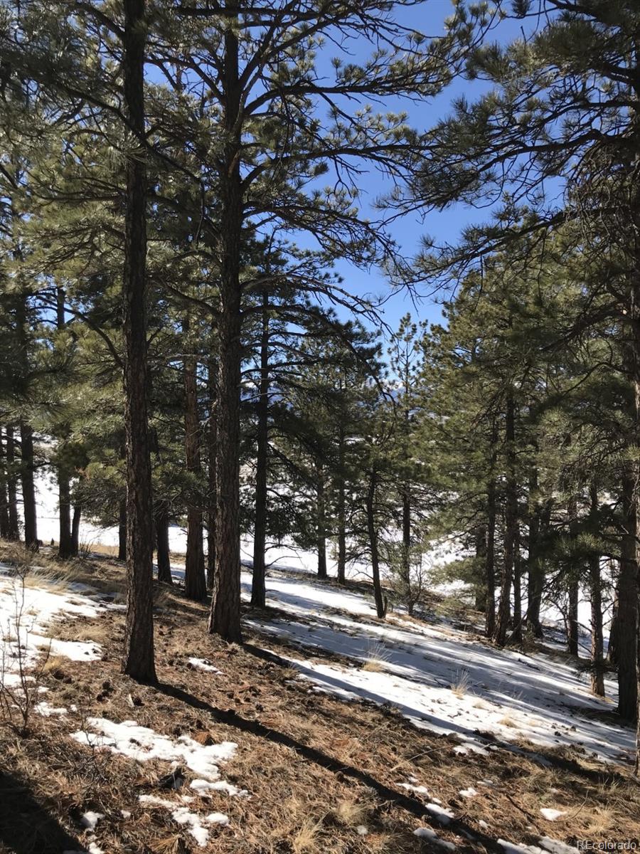1093 Piute Road Westcliffe, CO 81252 - Photo 15 of 15