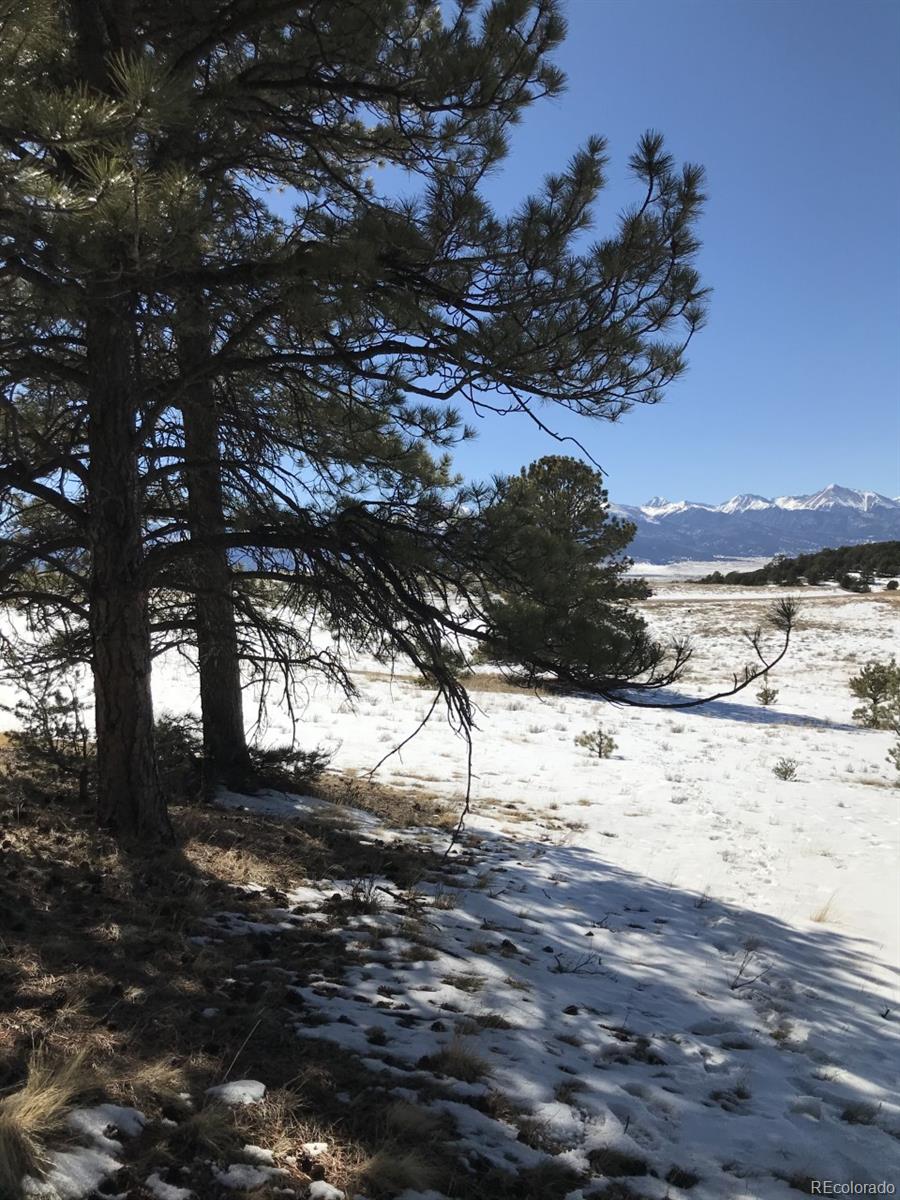 1093 Piute Road Westcliffe, CO 81252 - Photo 2 of 15