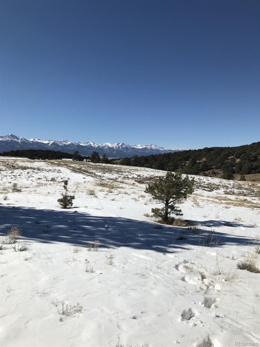 1093 Piute Road Westcliffe, CO 81252 - Photo 3 of 15