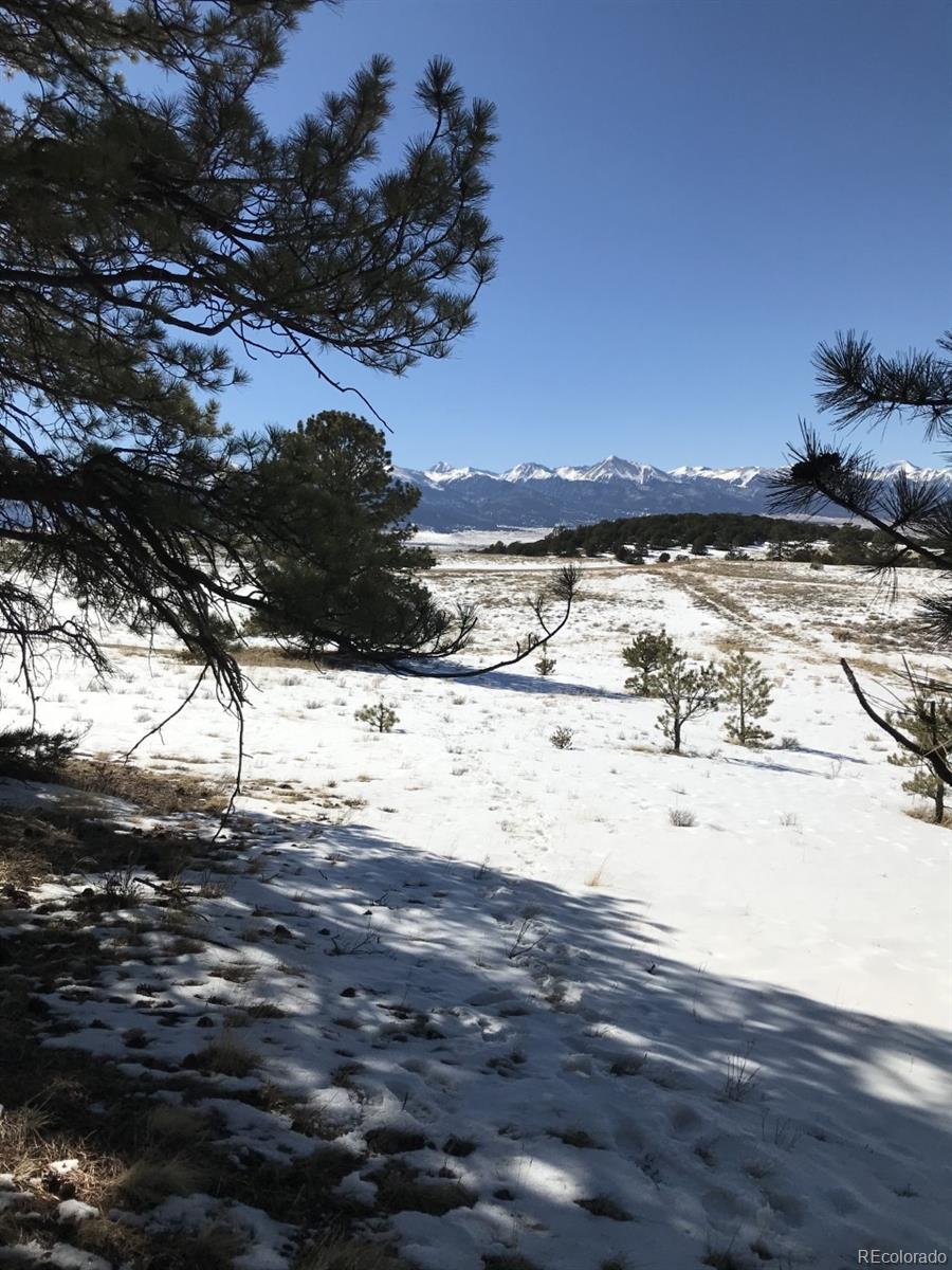 1093 Piute Road Westcliffe, CO 81252 - Photo 4 of 15